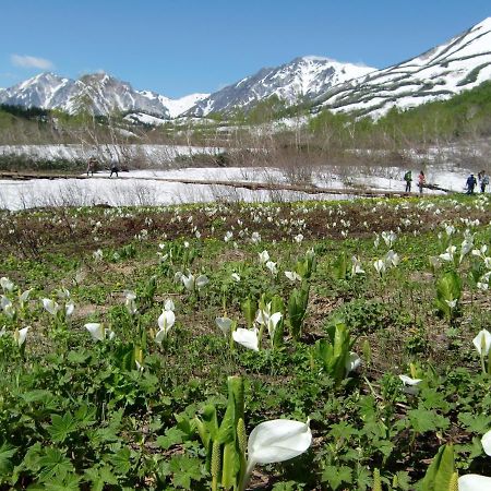 Villa Anri Hakuba Exterior foto