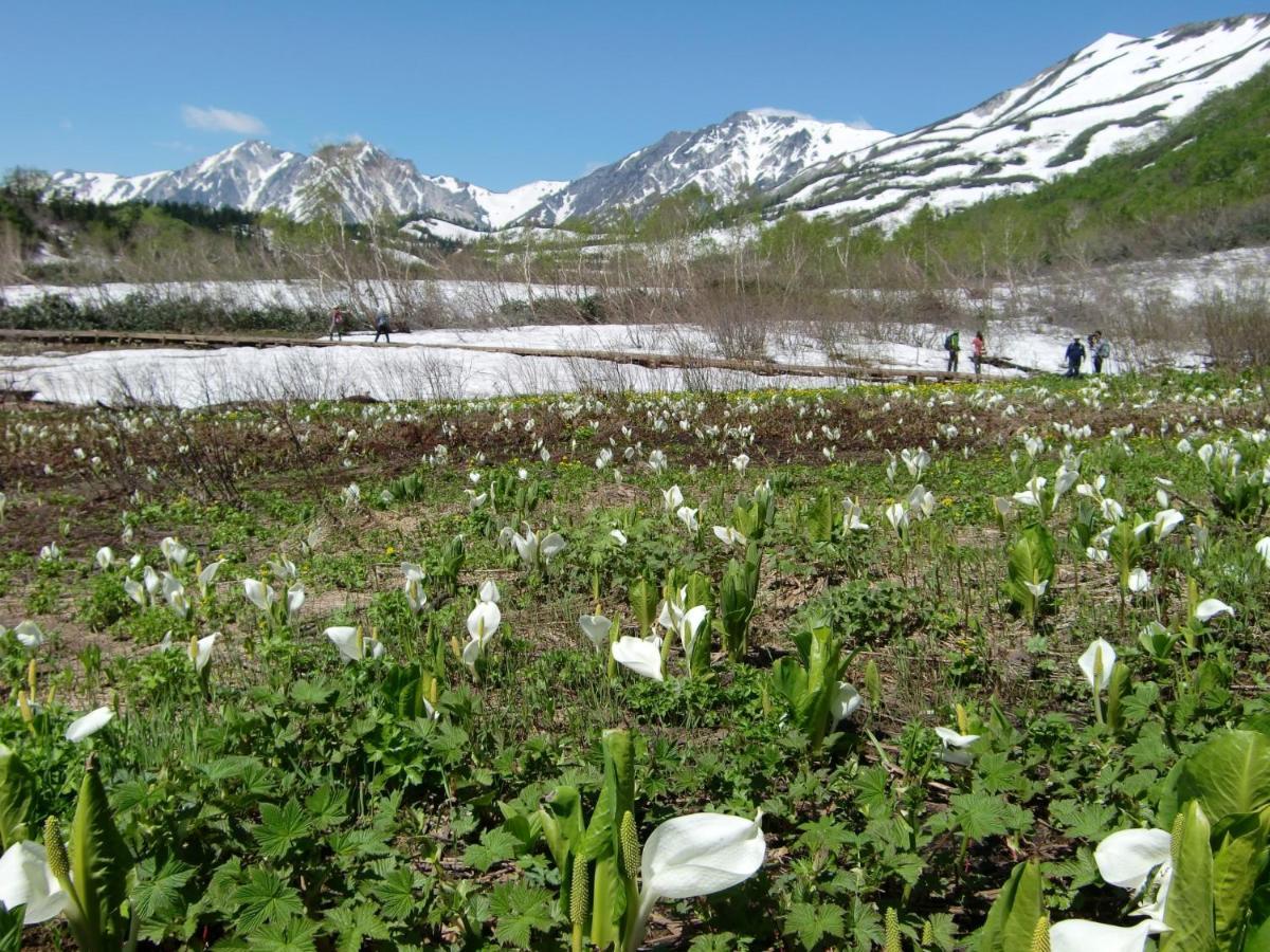 Villa Anri Hakuba Exterior foto